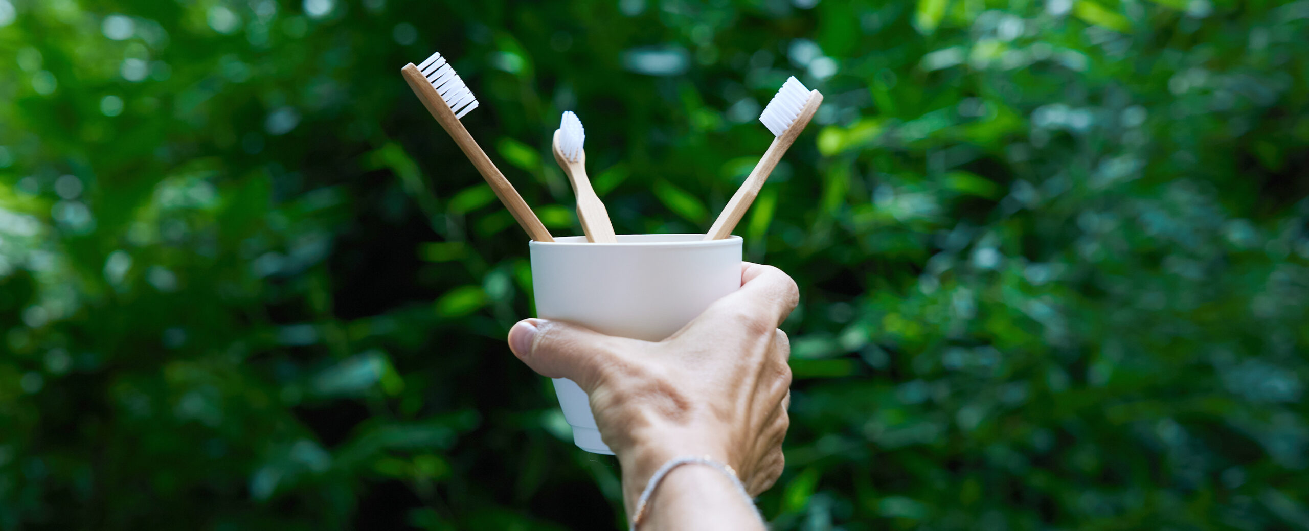 zahnarzt eimsbuettel tasei nachhaltige zahnarztpraxis header